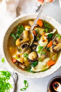 Potsticker Soup